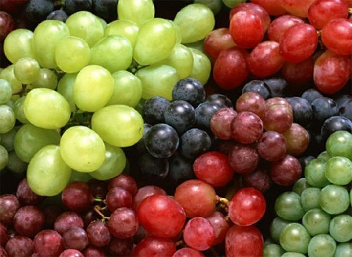 Table Grape, Fruit Farm | AGF0222