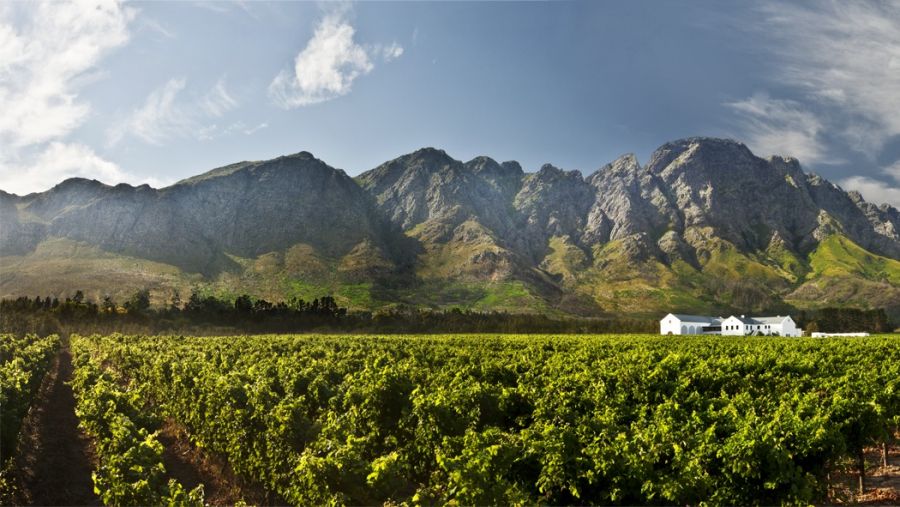 Western Cape Wine Estates for Sale