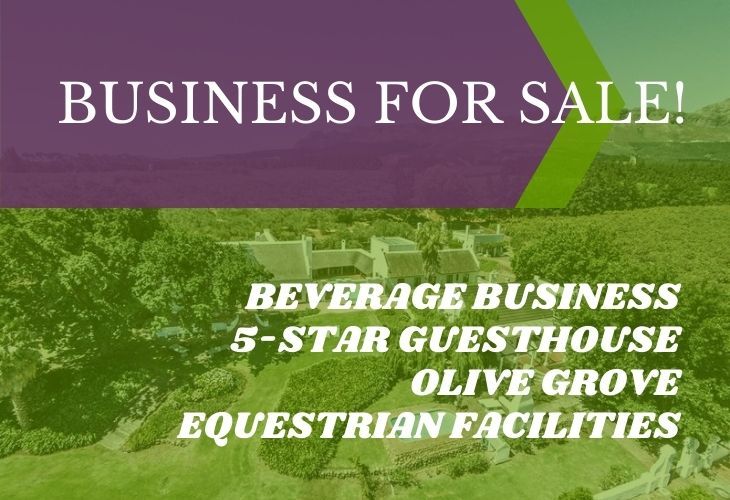 Olive Farm with Beverage Business | AGF0310