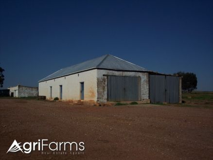 Wheat Livestock Farm | AGF0361