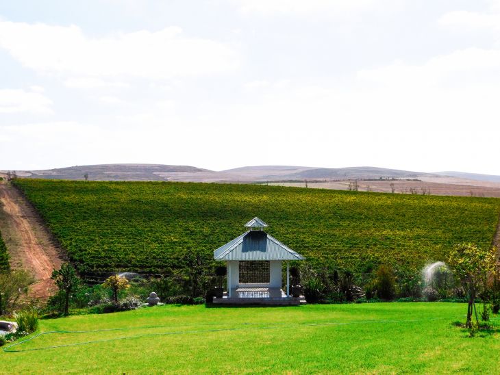 Boutique Wine farm with Good location | AGF0509