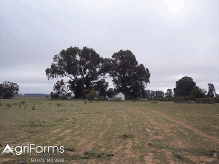 Wheat Livestock Farm | AGF0353