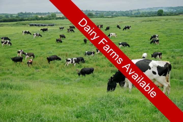 Dairy Farms for sale Western Cape