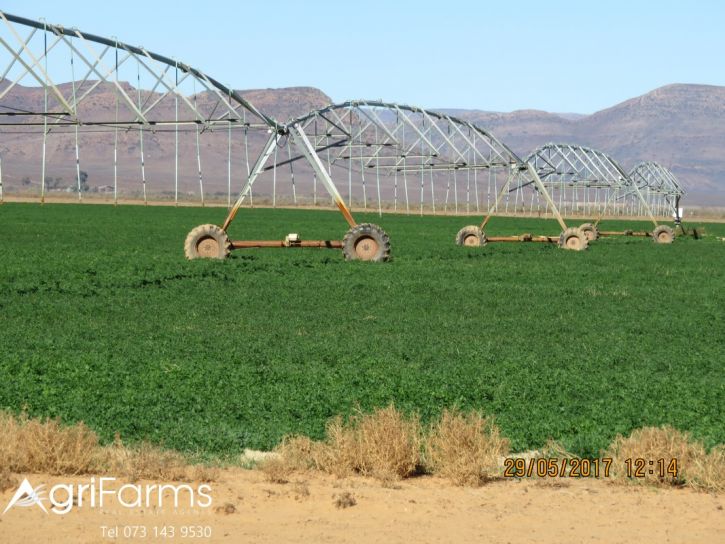 Wheat, Livestock &amp; Irrigation Farm | AGF0301