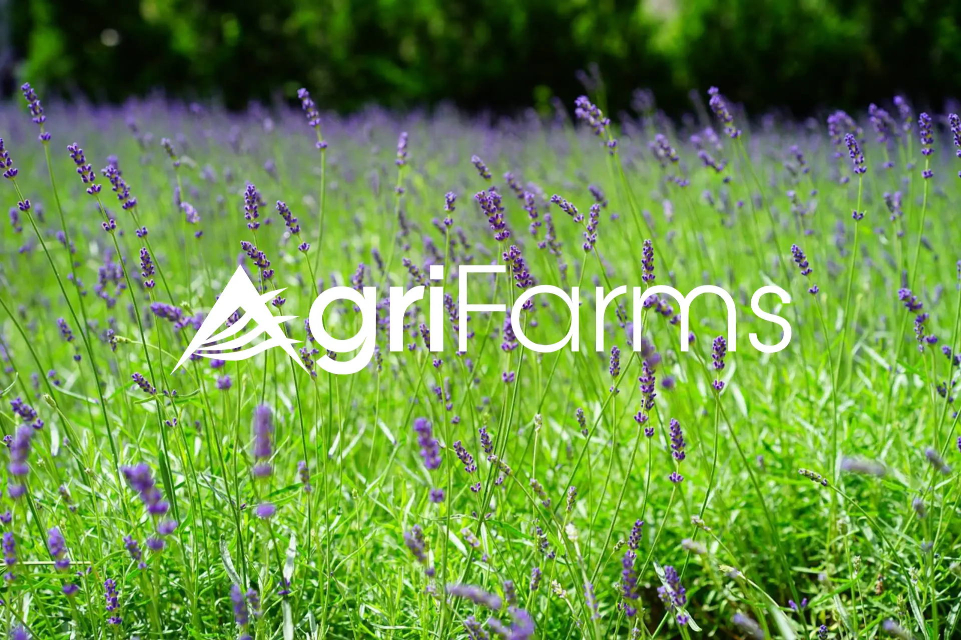 farms for sale placeholder