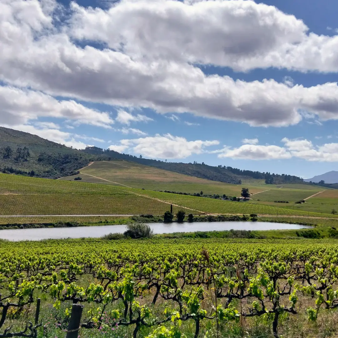farms for sale western cape
