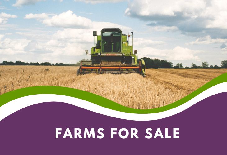 Farms for Sale Western Cape