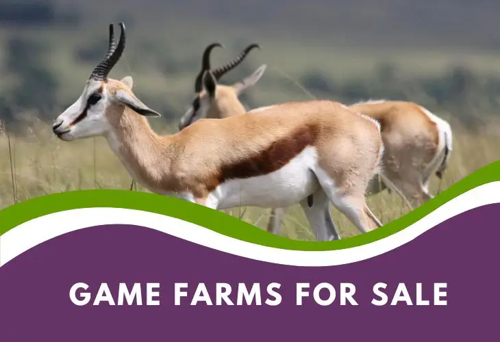 Game Farms for Sale Western Cape