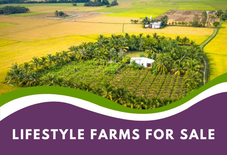 Lifestyle Farms for Sale 1 Lifestyle Farms for Sale Western Cape
