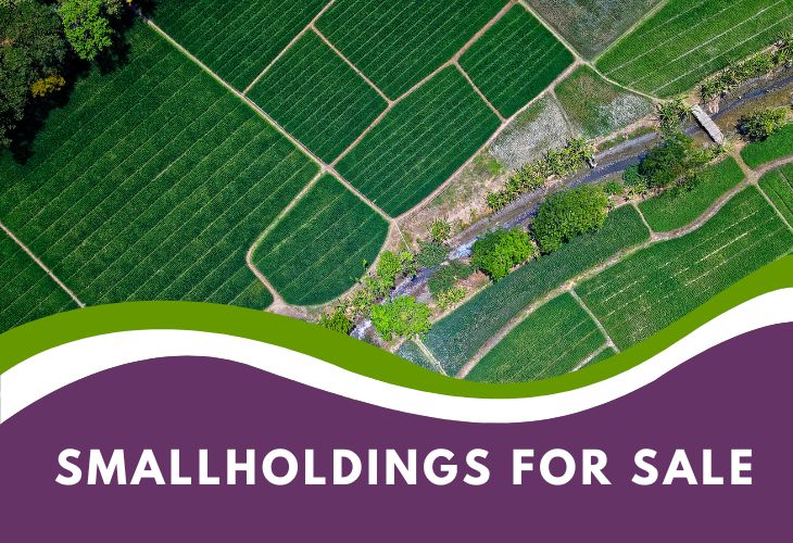 Smallholdings for Sale Western Cape
